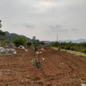 Cần tiền trả nợ chính chủ bán gấp 800m Mường Sang,Mộc Châu